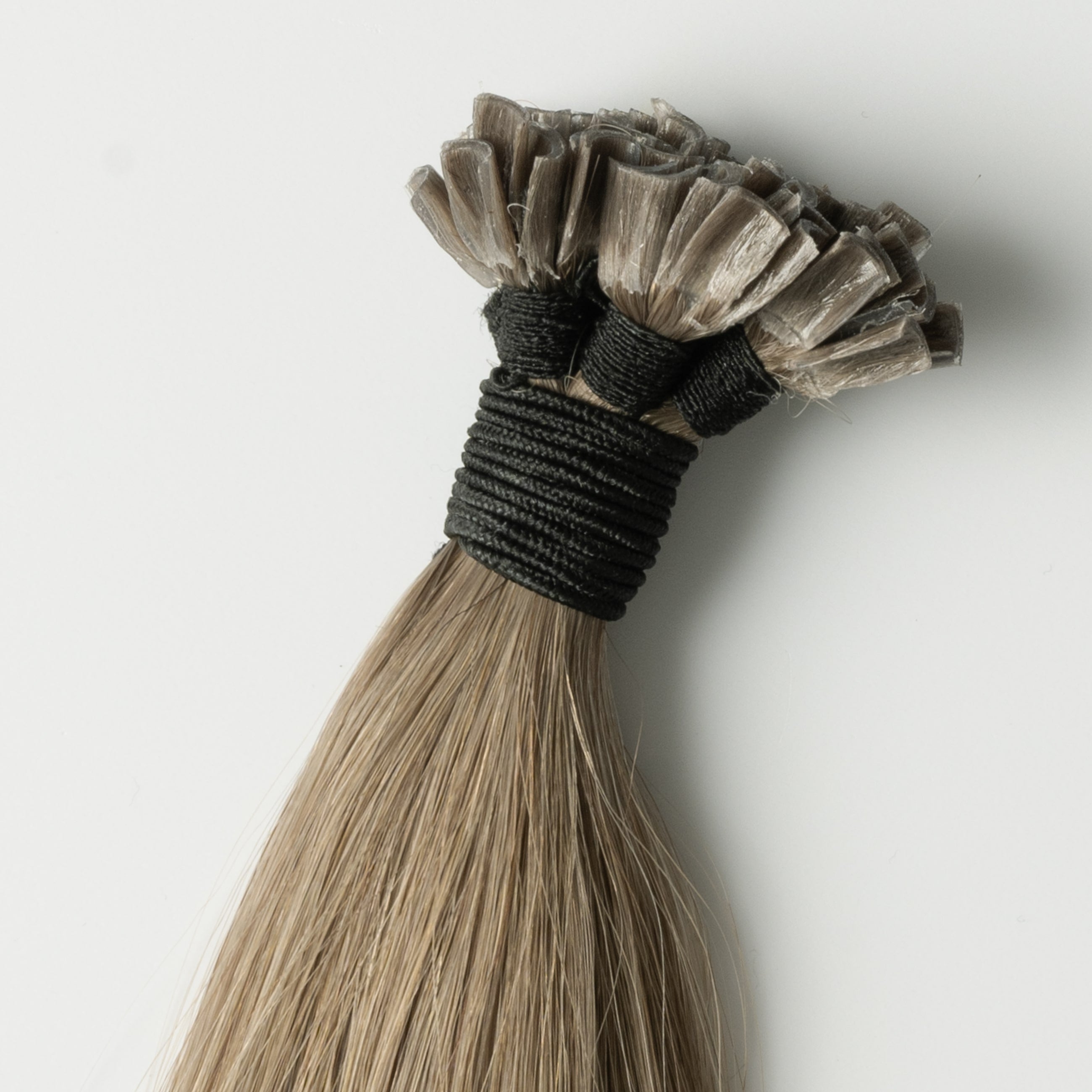 Hot fusion - Light Ash Brown 5B