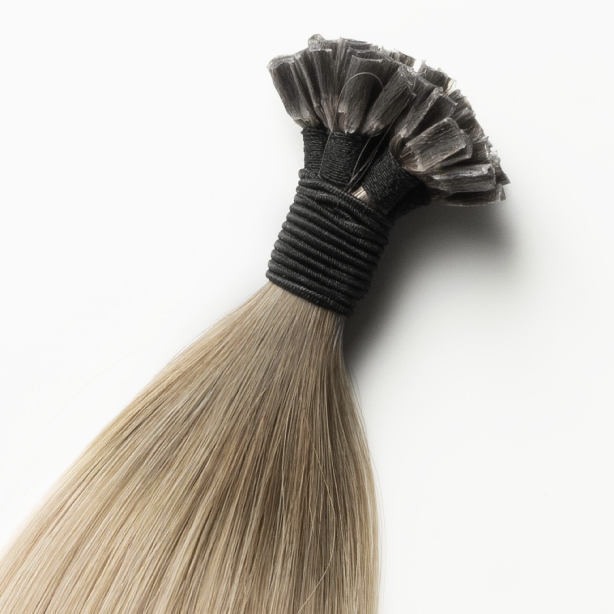 Hot fusion - Beige Blonde Root 5B+16B