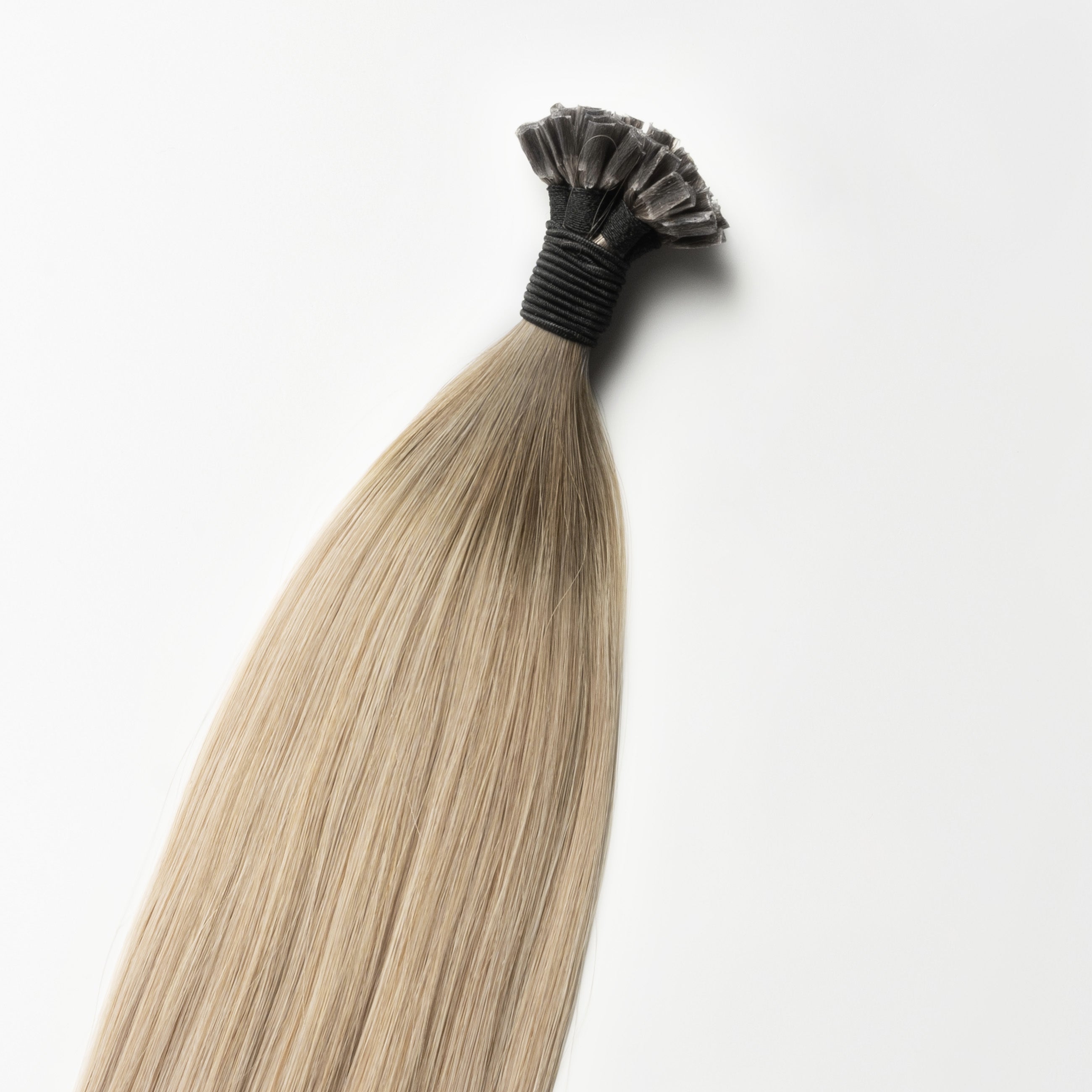 Hot fusion - Beige Blonde Root 5B+16B