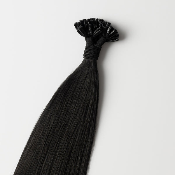 Hot fusion - Black 1 Hot fusion - Black 1