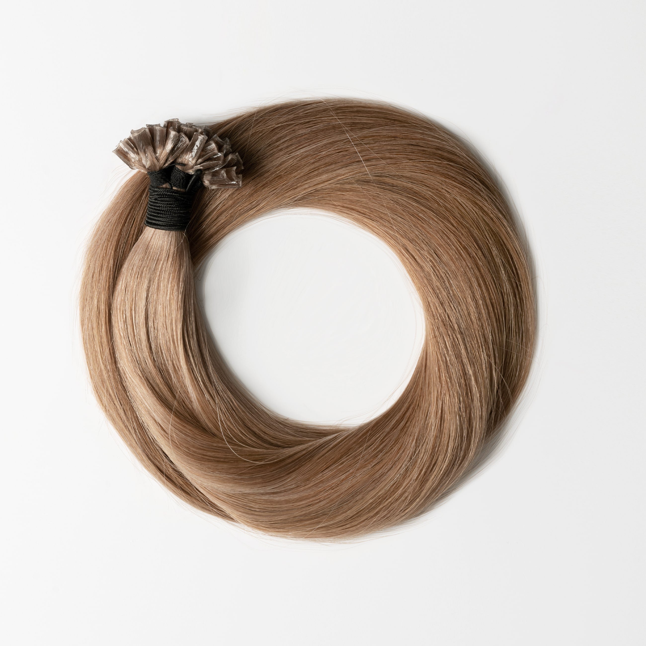 Hot fusion - Dark Beige Blonde 12B