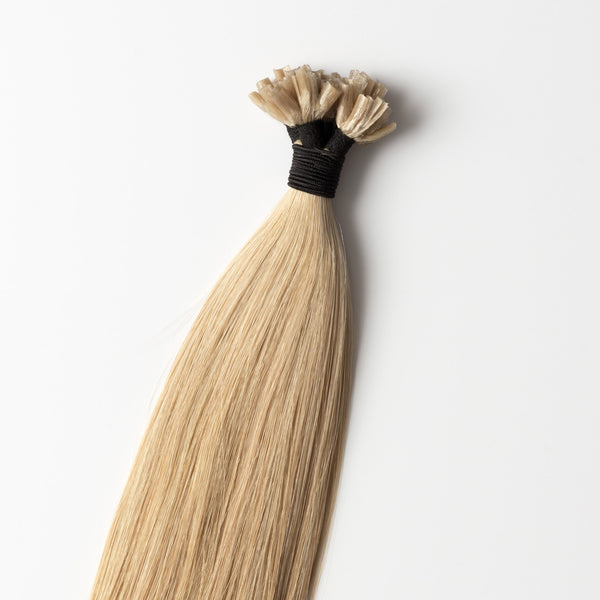 Hot fusion - Black 1 Hot fusion - Black 1