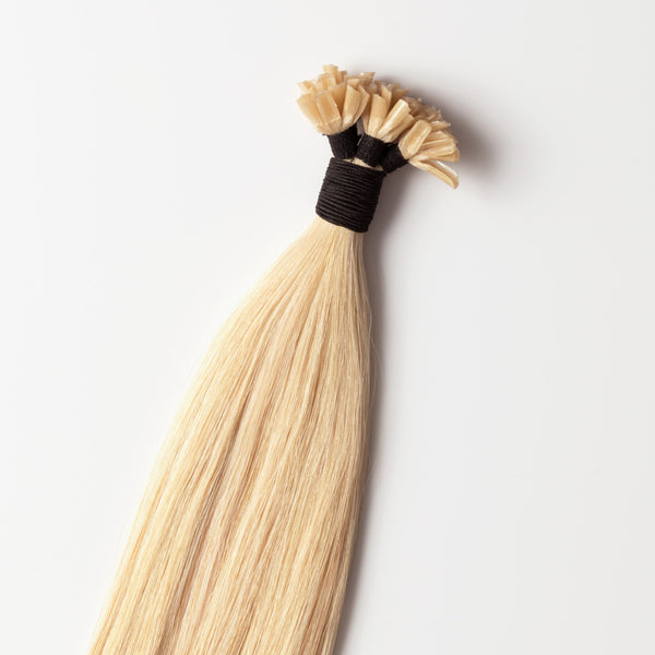 Hot fusion - Black 1 Hot fusion - Black 1