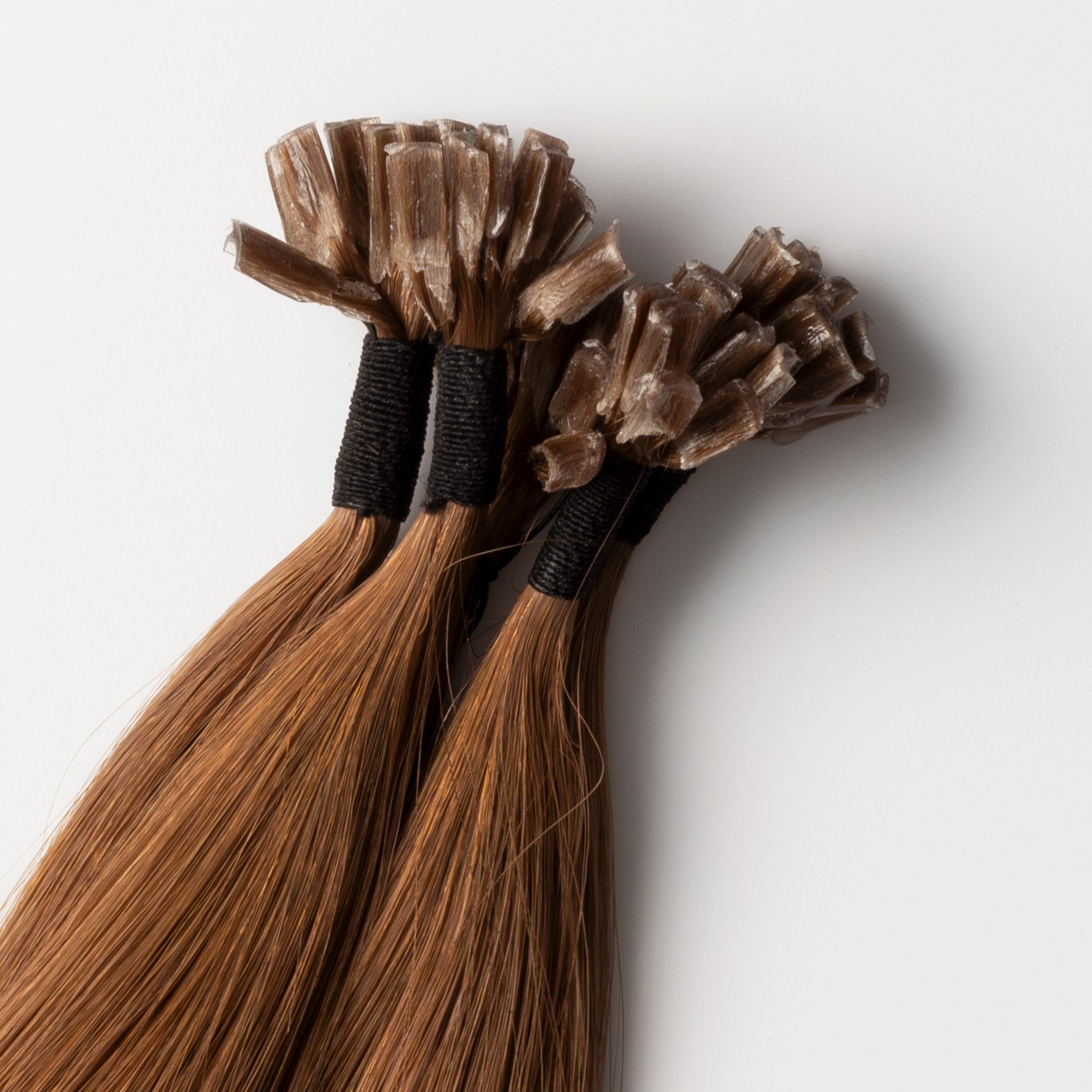 Hot fusion - Chestnut Brown 6