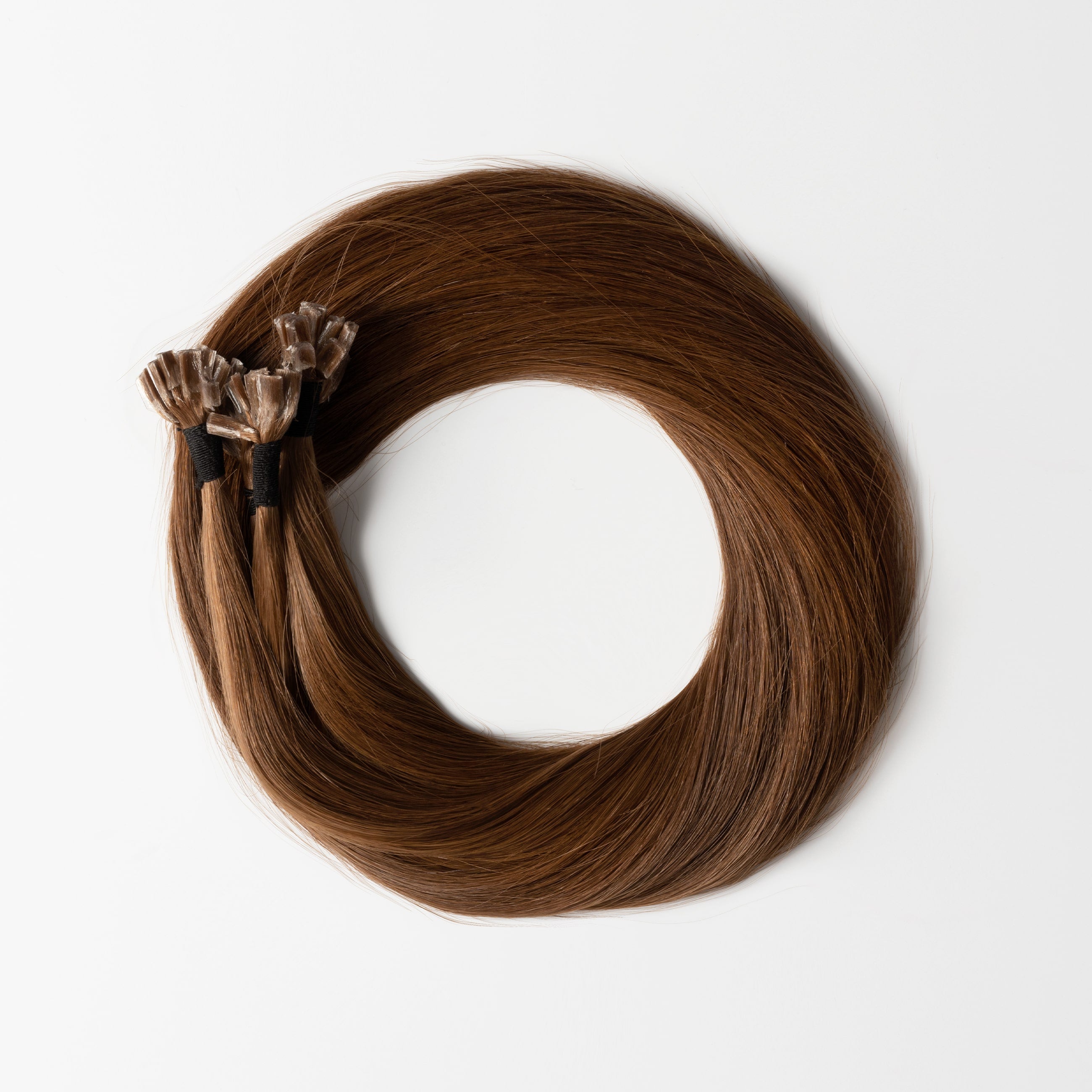 Hot fusion - Chestnut Brown 6
