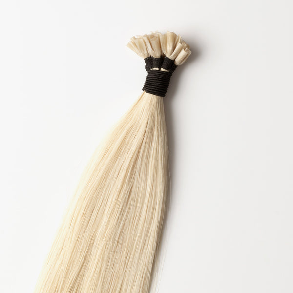 Hot fusion - Dark Beige Blonde 12B