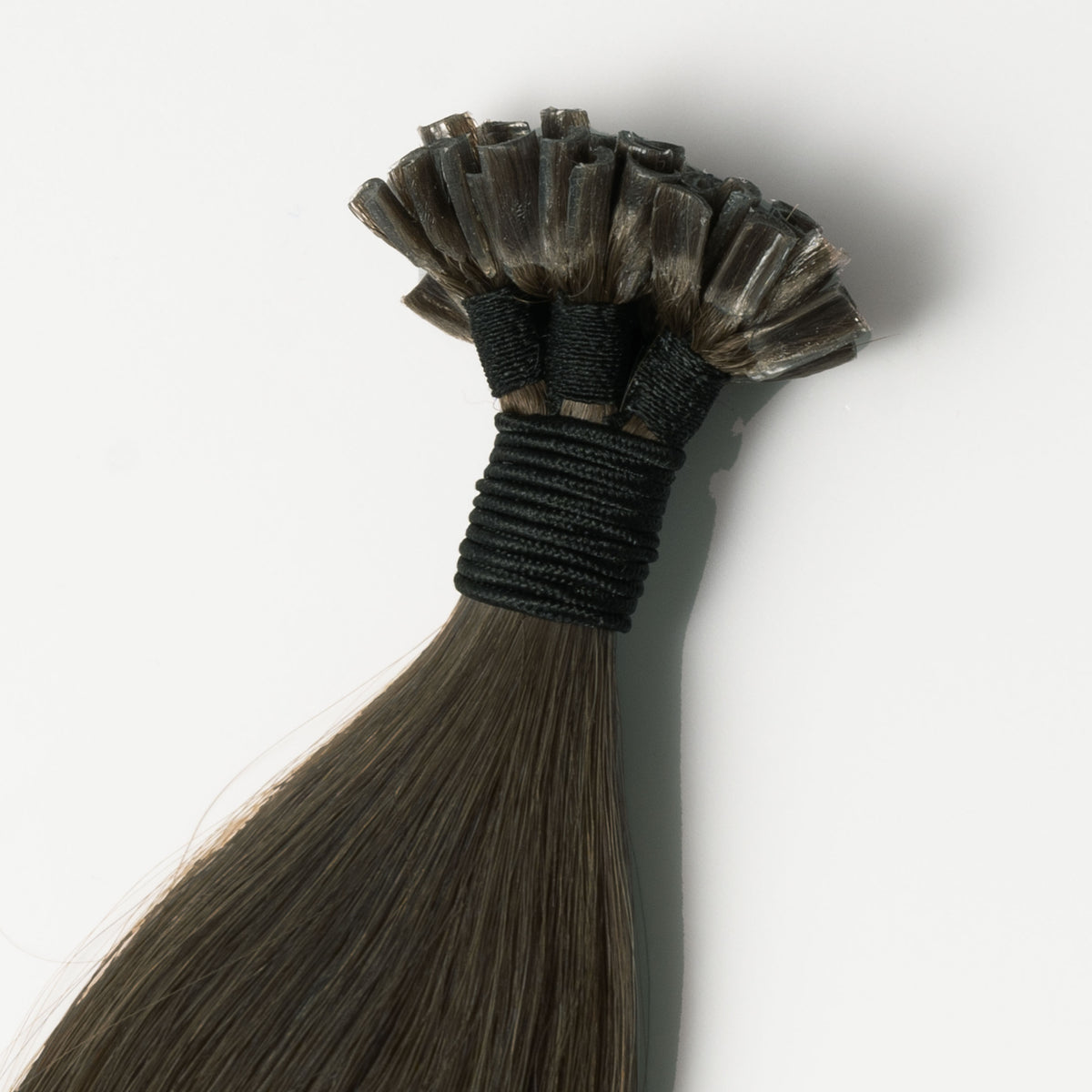 Hot fusion - Extra Dark Ash Brown 1C