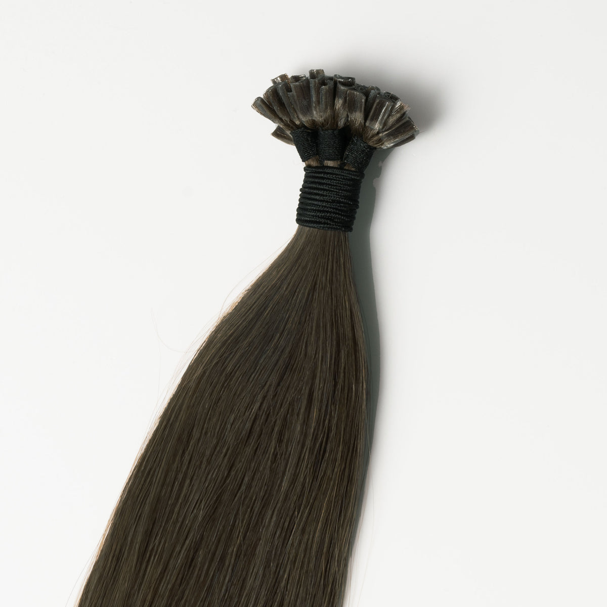 Hot fusion - Extra Dark Ash Brown 1C